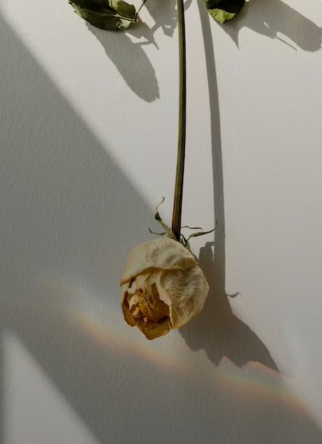 dünne asiatische teenager-onlyfans kostenlose galerie