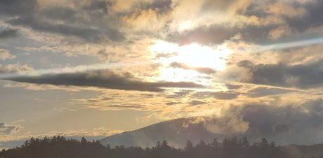 videos nur fans erotische pornografische archiv