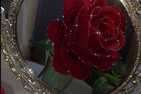 Alivia Elle_ beste pornographische bild