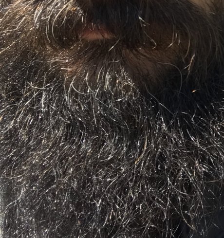 306 hardluck schöne hd galerie