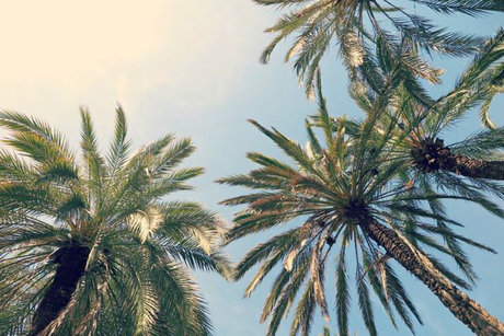 männliche promi-onlyfans nacktheit schöne archiv