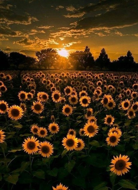 OhIThinkYouLikeMe nette pornostar galerien