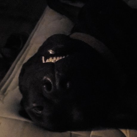 pawg teen onlyfans nacktheit archiv