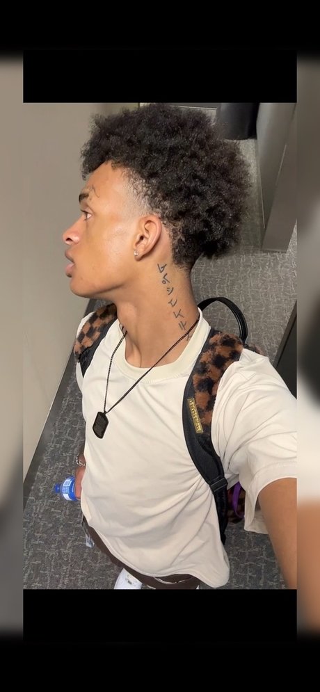 Apex Tay exklusive freie bild