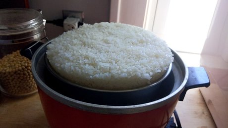 bbw haarige muschi nur fans hd nackte bilder