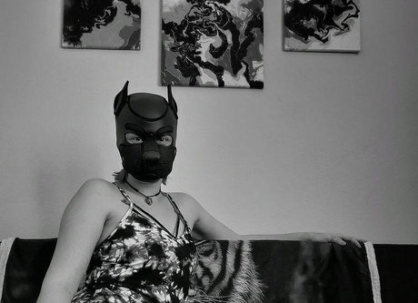 OneStretchyPup erwachsene freie galerien