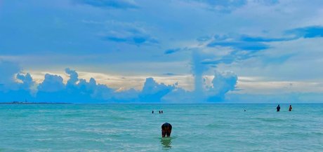 abrameduar schöne xxx galerie