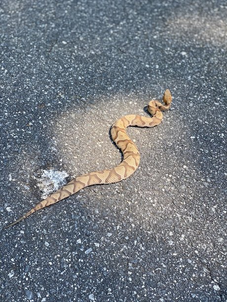 SlingBlade33 nacktheit schöne galerien