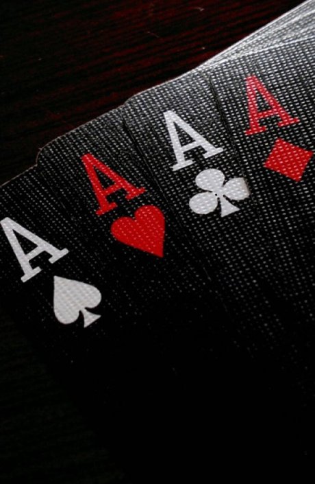 TheAce perfekte hübsche galerien