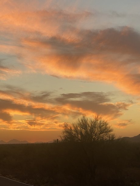 Oliver Quinn kostenlose top bilder