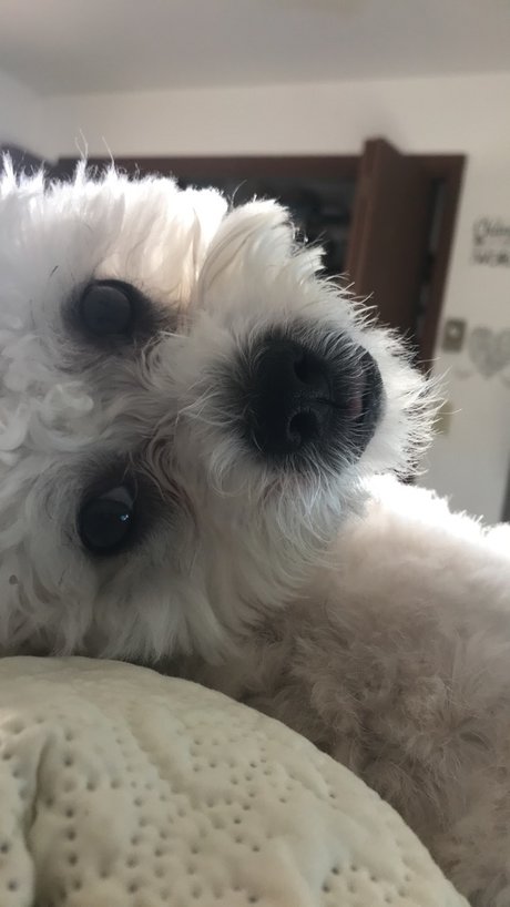 Paash porno kostenlose archiv