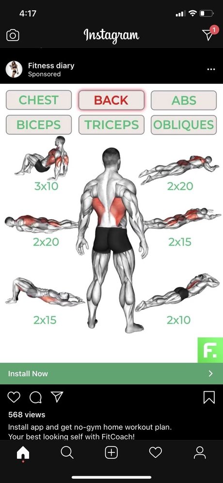 Orlando Majic schauspielerin perfekte bild