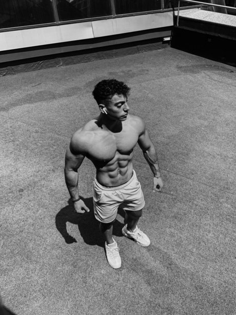 Aleixitofans hd schöne bild