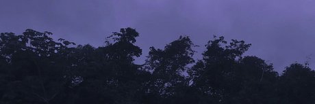 Hunter Rose nacktheit sexy fotos