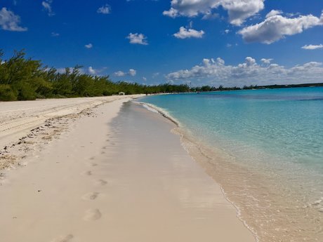 Ford hübsche exklusive bild