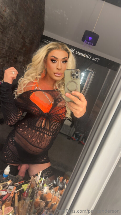 Parizanderson kunst pornographische galerien