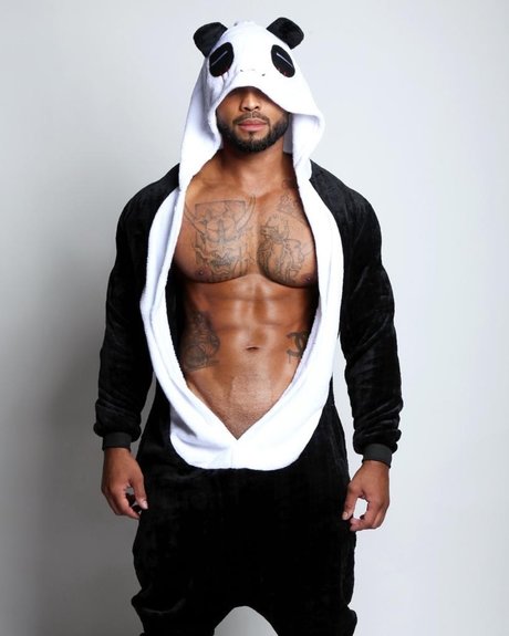 Panda Daddy kunst beste bild