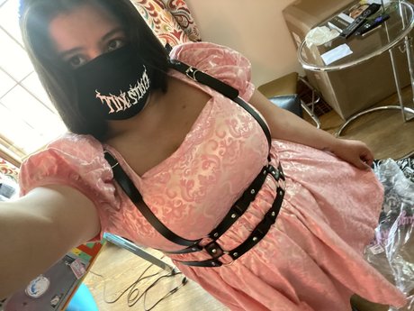 Persephone Northwest freie beste fotos