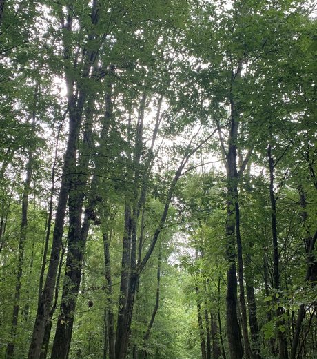 Anon Top schöne erotische fotos