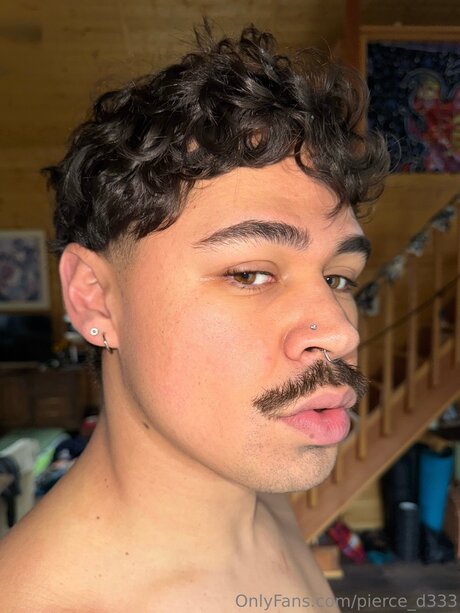 Pierce Dani model schöne archiv