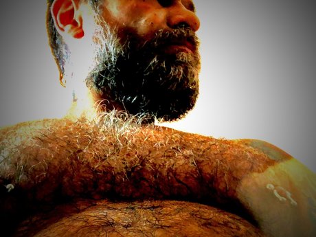 PHILLHOLES beste pornografische archiv