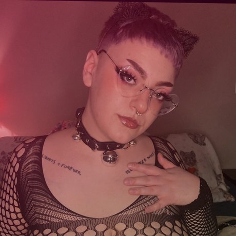 Phat Wednesday Winnie_ freie schöne bild