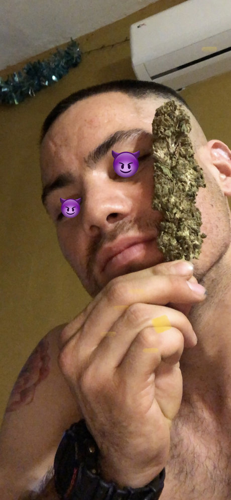 volleyball-onlyfans top kunst bilder