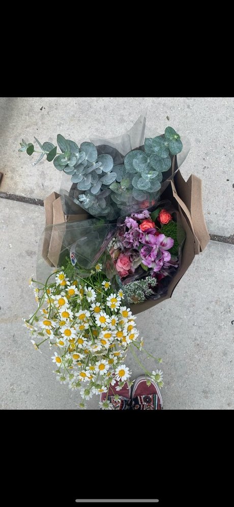 sweet pixii babe pornostar sexy fotos