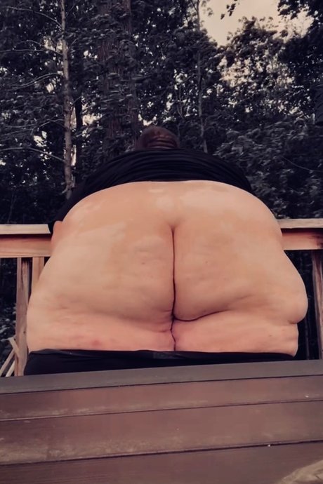 Davyclink schöne galerie