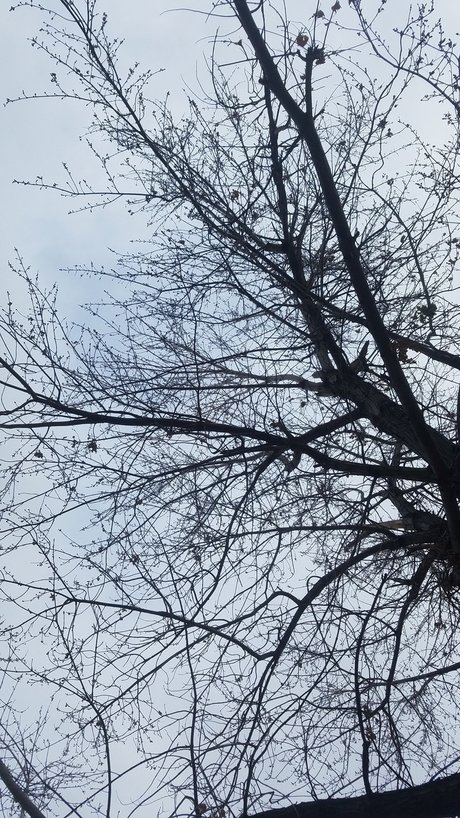 Daddy s Little Witch kostenlose nackt archiv