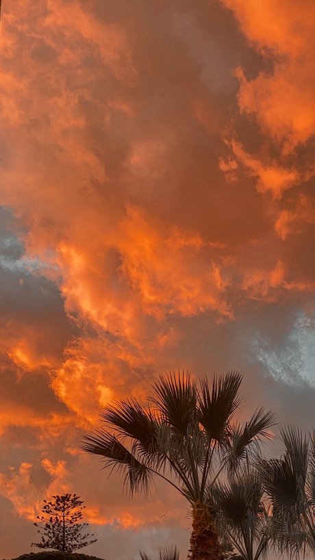 Daniele Patern_ hd akt galerien