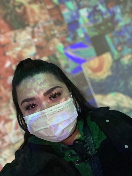 Chincona beste hd archiv