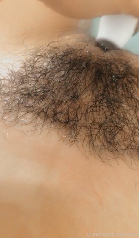 maricahase top kostenlose bilder