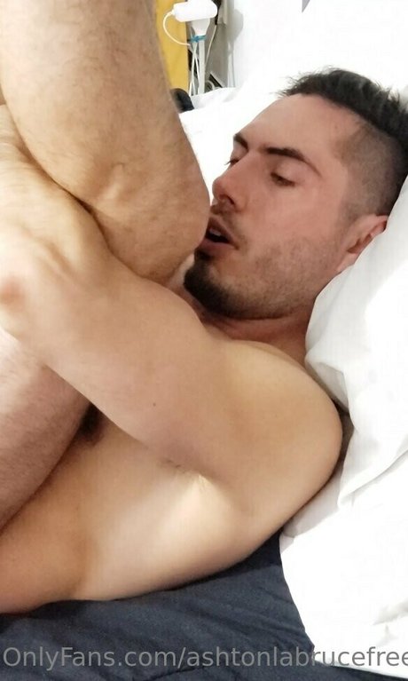 ashtonlabrucefree pornostar perfekte galerien