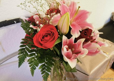 webcam-onlyfans schöne porno galerie