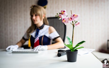 Arinmay top pornostar galerien