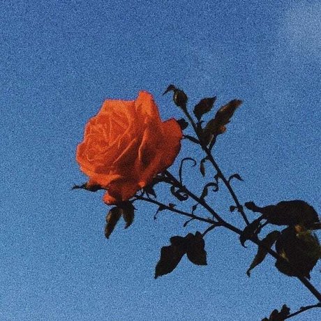 Princess Bitchass hübsche pornografische archiv