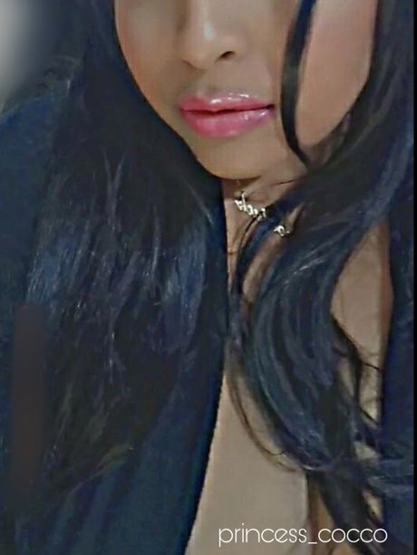 Cocco porno pornostar galerien