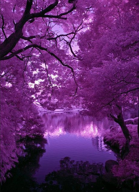 Prince Mikail sexy schöne fotos