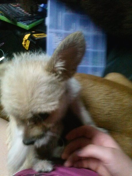 _Miss M rder_ sexy freie fotos