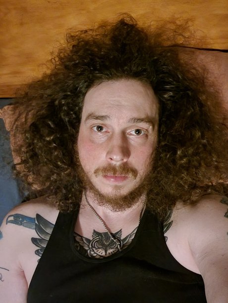 DvD heiße freie bilder