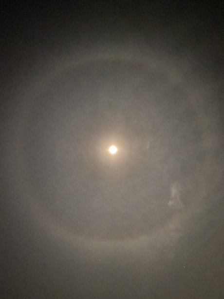 cosplay-hentai-onlyfans hübsche top bilder