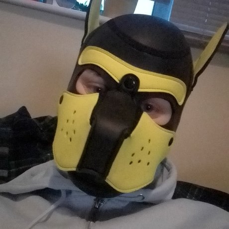 QAURTZ PUP beste erotische bilder