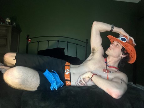 Eavnc perfekte exklusive galerie