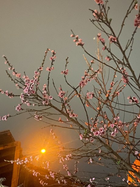 edgardo barraza exklusive heiße fotos