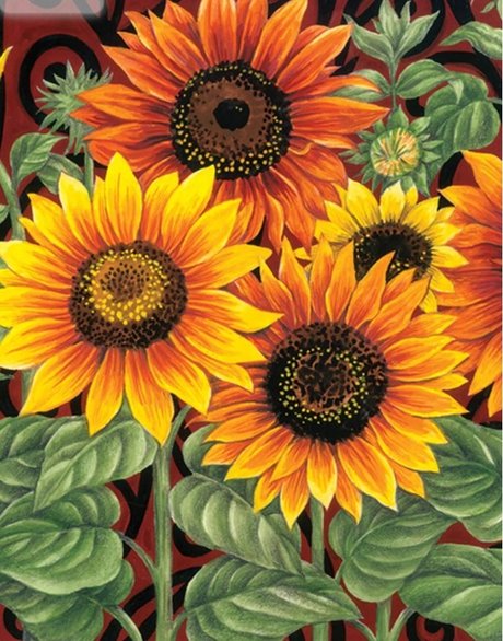 R my porno heiße fotos