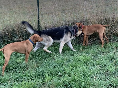 Michael Scott sexy nette galerien