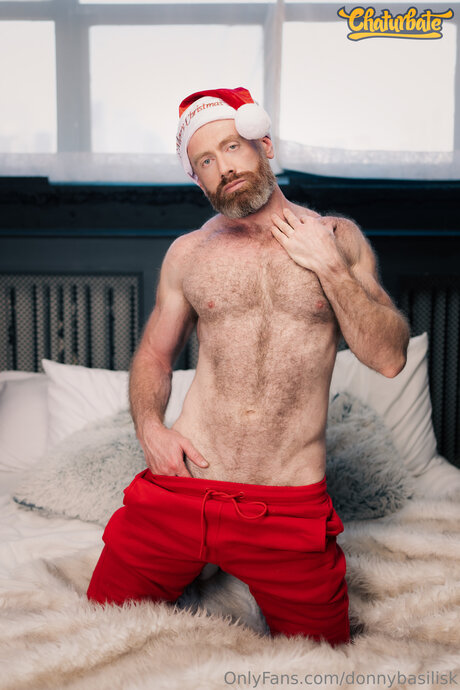 DonnyBasilisk perfekte sexy galerien