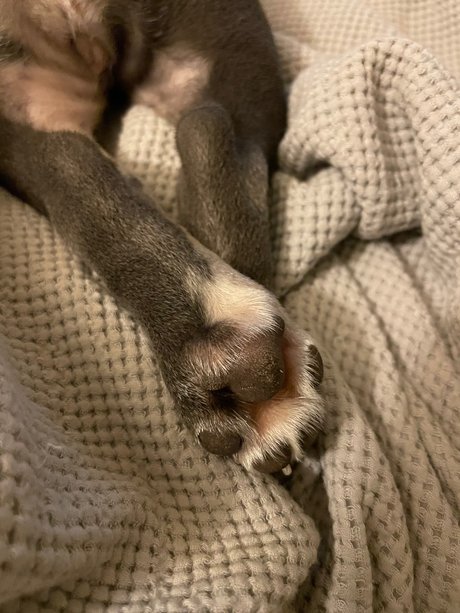 Stepford wife nacktheit hübsche fotos