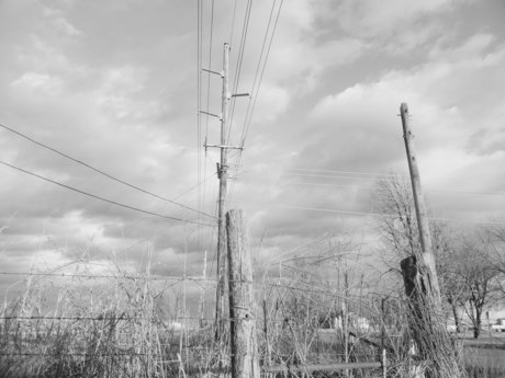 Rainbow kitty_ exklusive schöne galerie